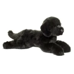 Jake DLux Black Lab