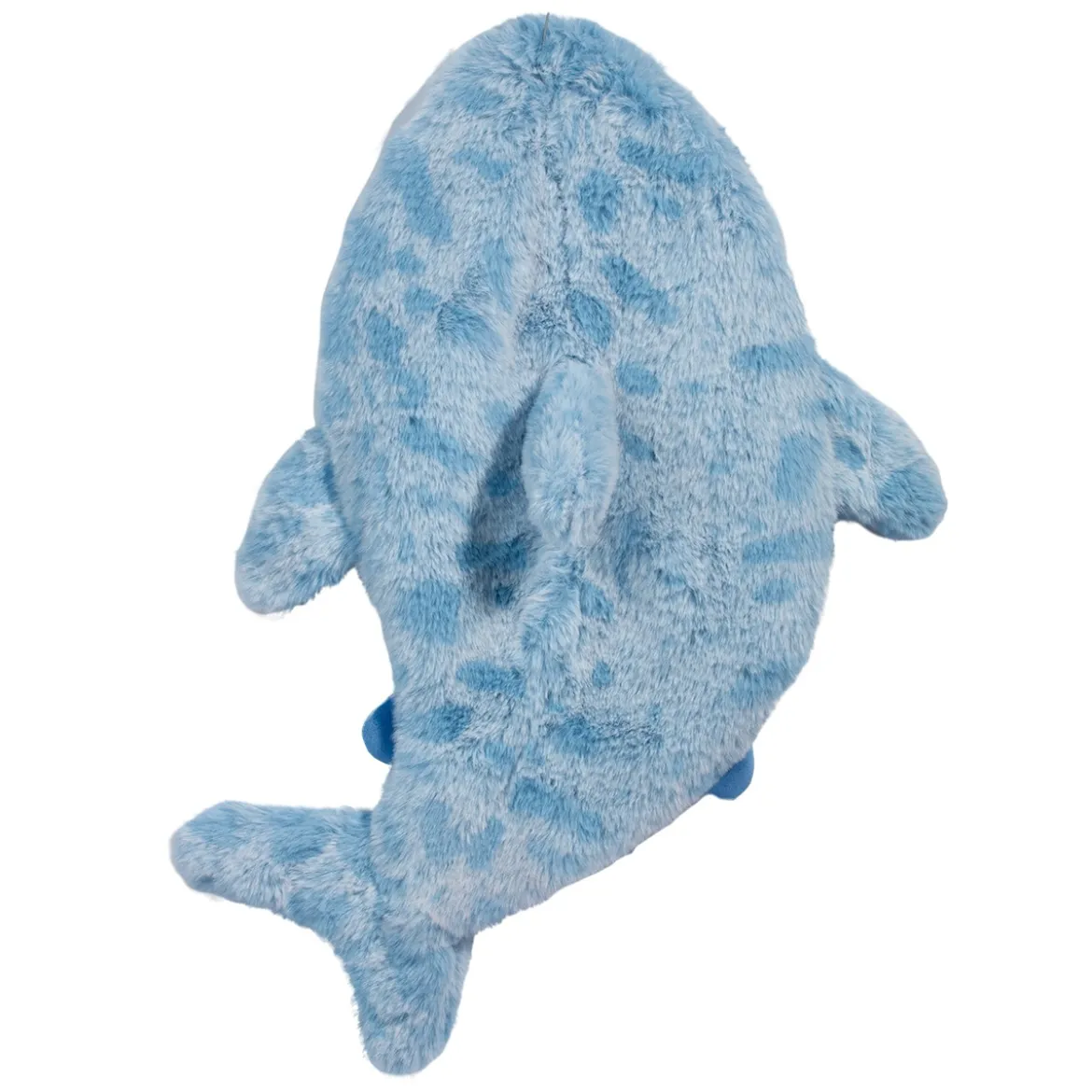 Jetty Shark Sshlumpie
