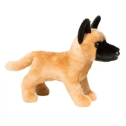 Klaus Belgian Malinois