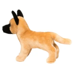 Klaus Belgian Malinois