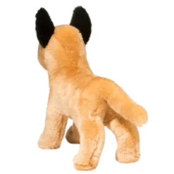 Klaus Belgian Malinois