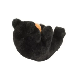 Lil’ Baby Black Bear