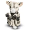 Lil’ Baby Goat
