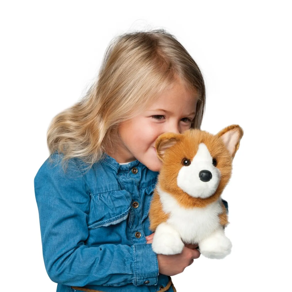 Louie Corgi