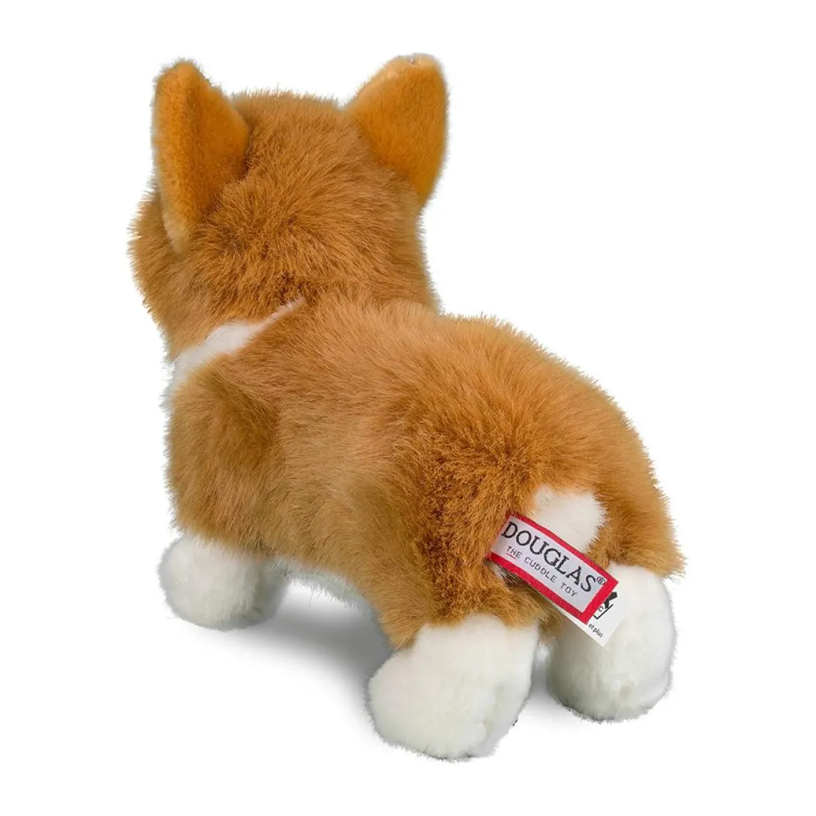 Louie Corgi