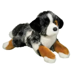 Maizie DLux Australian Shepherd