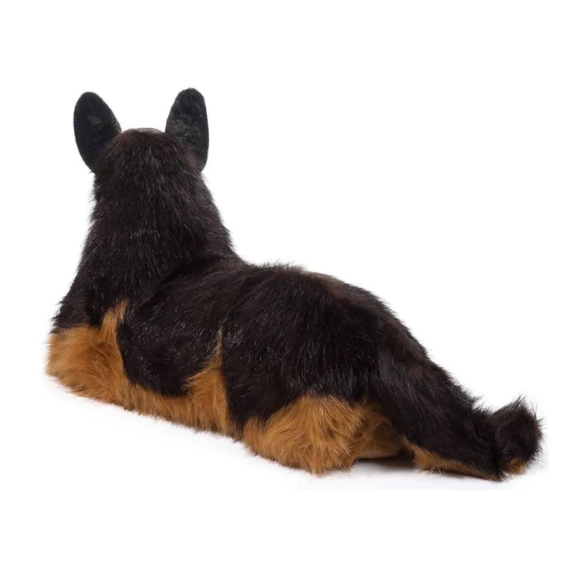 Major German Shepherd