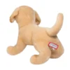 Mandy Yellow Lab
