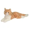 Mango Orange Cat