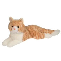 Mango Orange Cat