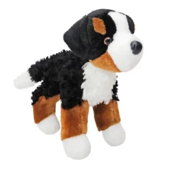 Miranda Bernese Mountain Dog