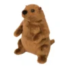 Mr. G Groundhog
