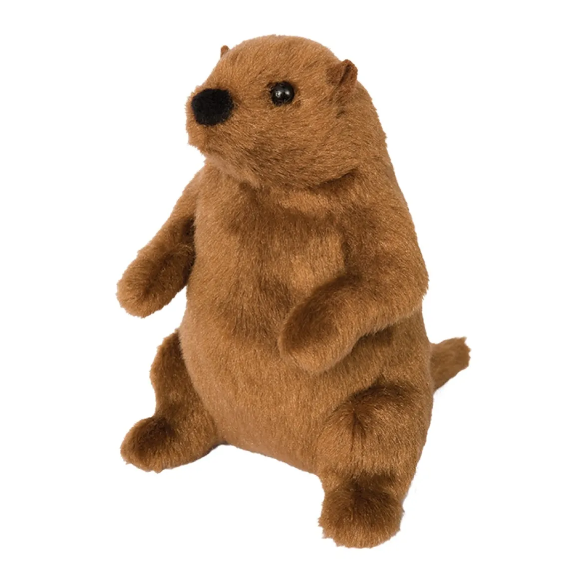 Mr. G Groundhog