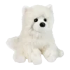 Opo White Pomeranian