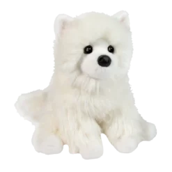 Opo White Pomeranian