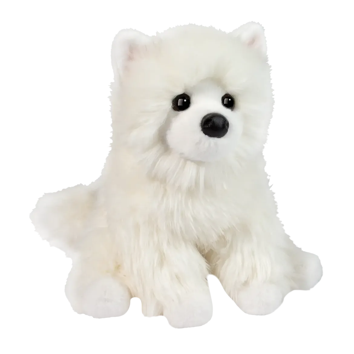 Opo White Pomeranian