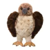 Orion Red-Tailed Hawk