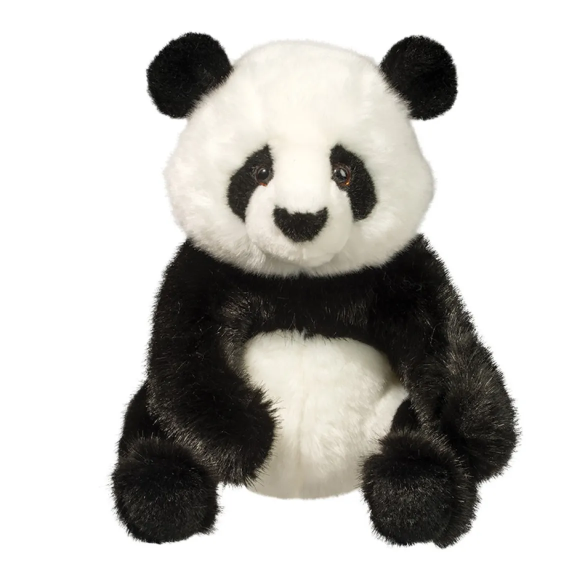 Paya Panda