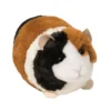 Pippin Guinea Pig