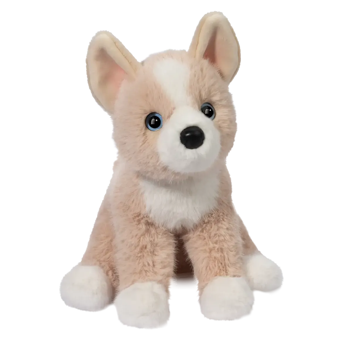 Pookie Pomsky Soft