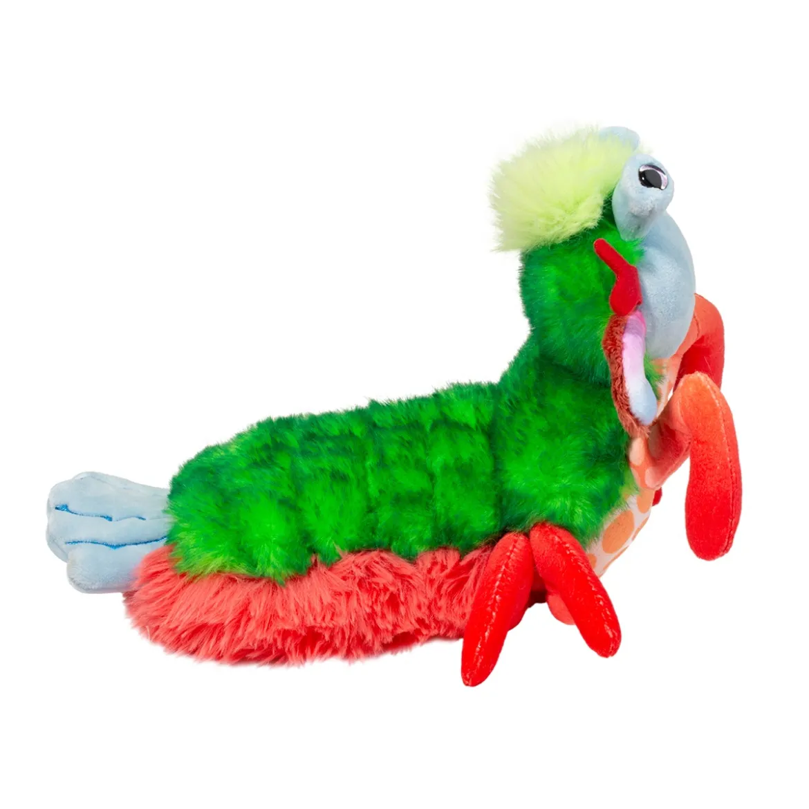 Punchie Mantis Shrimp