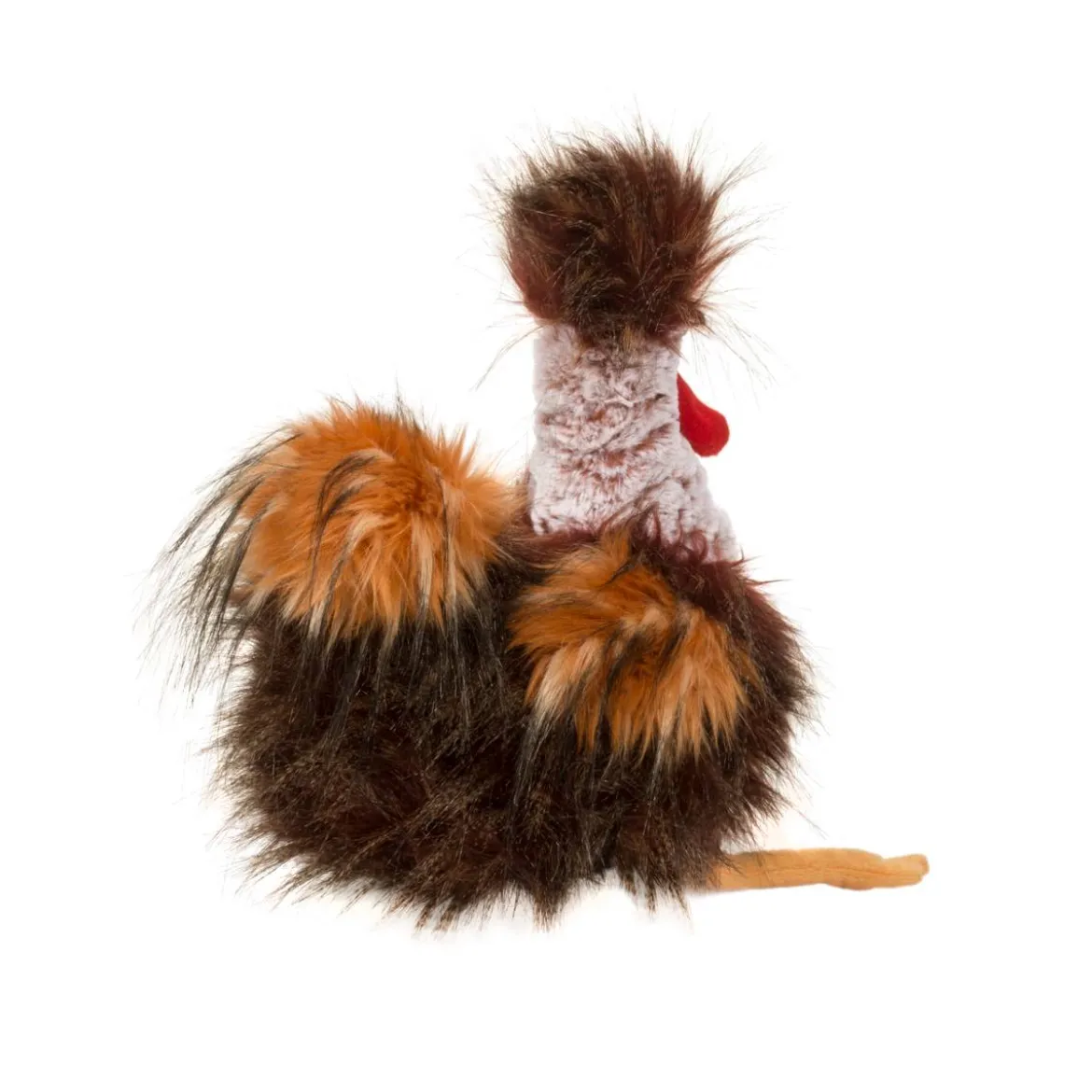 Ricardo Rooster