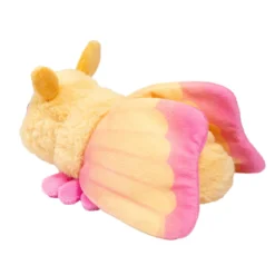 Rosy Maple Moth