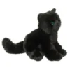Salem Black Cat