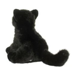 Salem Black Cat