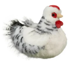 Salty Black & White Hen