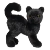 Scaredy Black Cat
