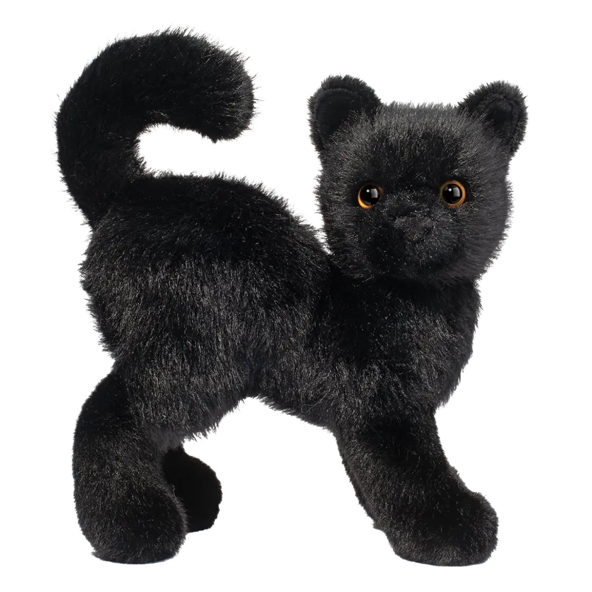 Scaredy Black Cat