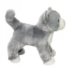 Scatter Gray Cat