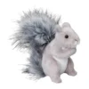 Shasta Gray Squirrel