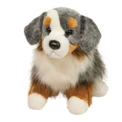 Sinclair Australian Shepherd