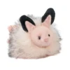 Skimmer Sea Bunny Slug