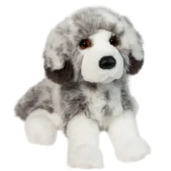 Skylar Australian Shepherd