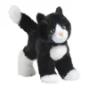 Snippy Black & White Cat