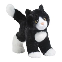 Snippy Black & White Cat