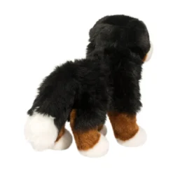 Stevie Bernese Mountain Dog
