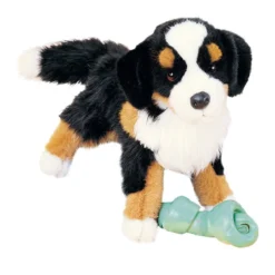 Trevor Bernese Mountain Dog