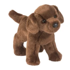Tucker Chocolate Lab