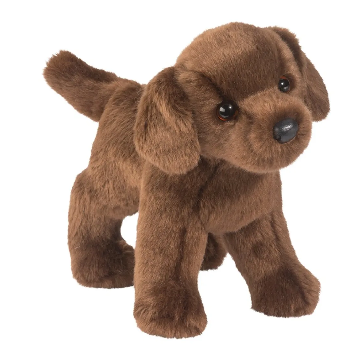 Tucker Chocolate Lab