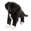 Twister Black Lab/Pit Bull Mix