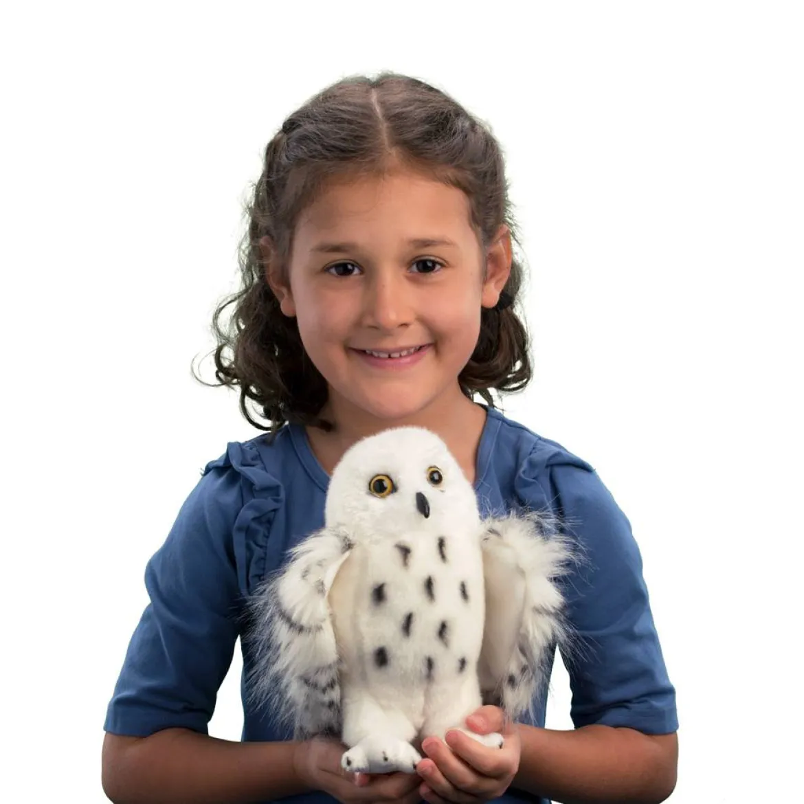 Wizard Snowy Owl