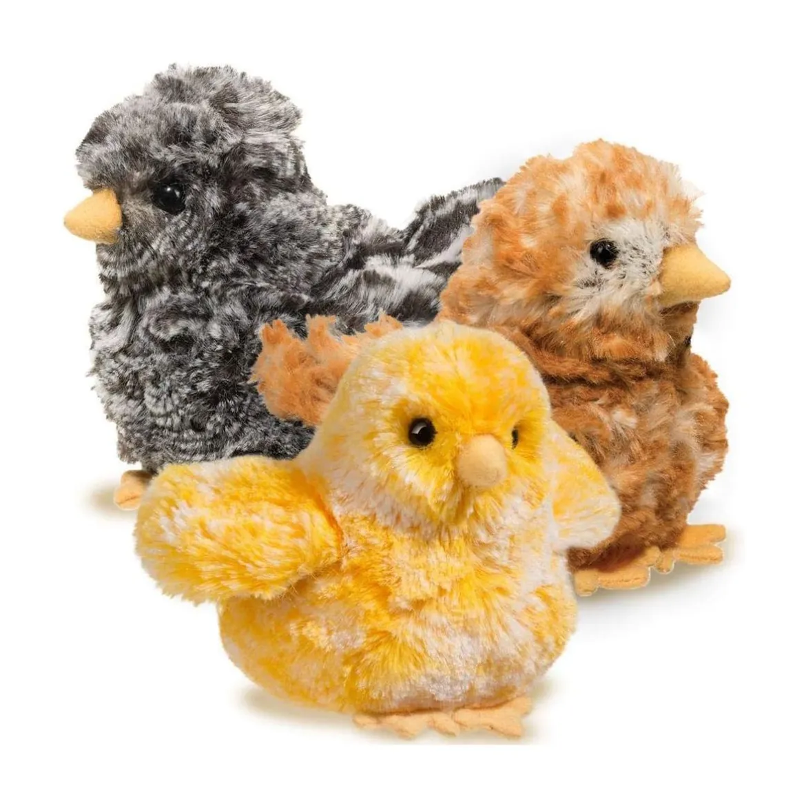 Yellow Multi Chick