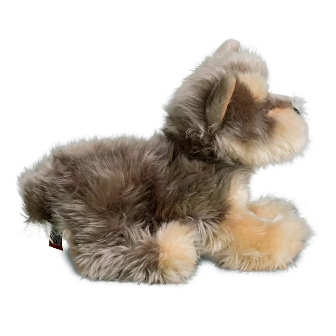 Yettie Yorkie