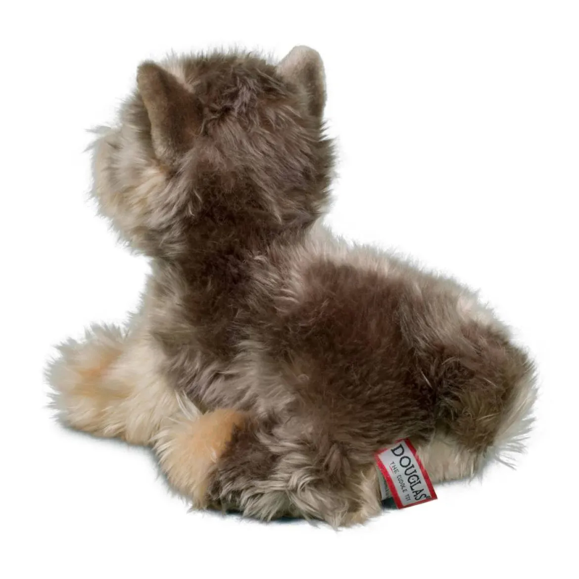 Yettie Yorkie