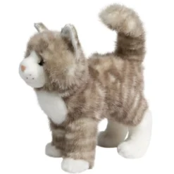 Zipper Gray Tabby Cat