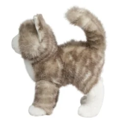 Zipper Gray Tabby Cat